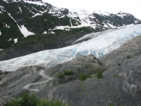 Exit Glacier